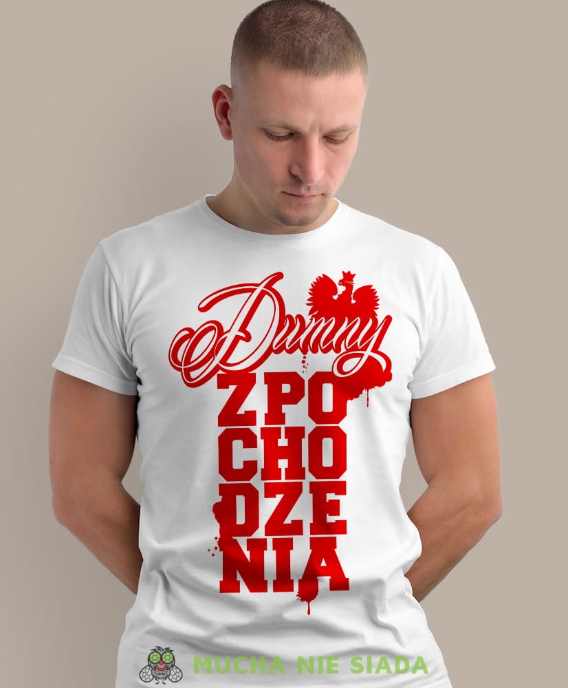 dumny  pochodzenia orzeł Polski, biała męska koszulka z nadrukiem, koszulka patriotyczna, koszulki z grafiką patriotyczną, dla mężczyzny, dla chłopaka na prezent, koszulka Polska, koszulki Polska.jpg