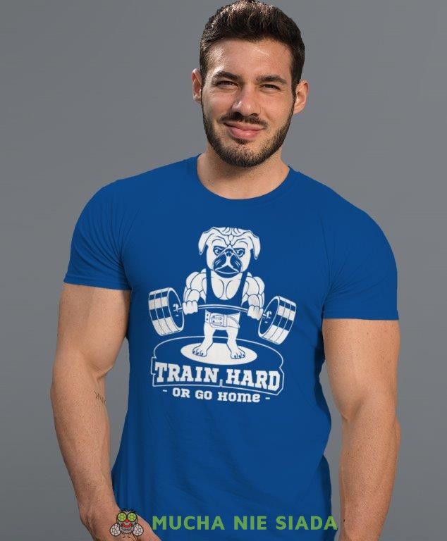 train hard or go home, niebieska koszulka na siłownię, męska koszulka, koszulka sportowa, na sport, gym, na siłownię.jpg