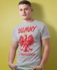 dumny z  pochodzenia, szara męska koszulka z nadrukiem, koszulka patriotyczna, koszulki z grafiką patriotyczną, dla mężczyzny, dla chłopaka na prezent, koszulka Polska, koszulki Polska.jpg