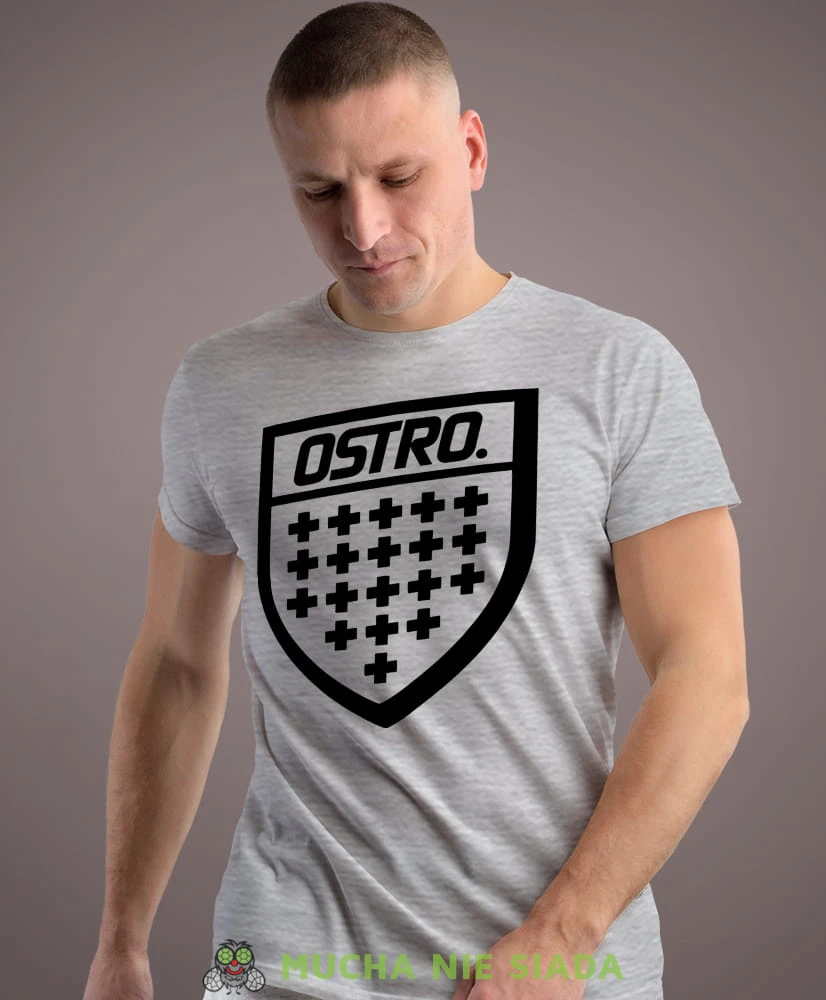 ostro szara męska koszulka z nadrukiem na co dzień, na prezent, fajna koszulka.jpg