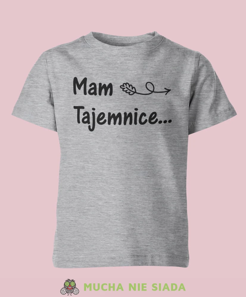 mam tajemnice... będę starszą siostrą, szara koszulka dziecięca, dla dzieci, dla dziewczynki, dla dziecka.jpg