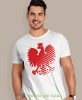 Orzeł Polski, modern, biała męska koszulka z nadrukiem, koszulka kibica, koszulki z grafiką patriotyczną, na prezent, koszulka Polska, koszulki Polski.jpg