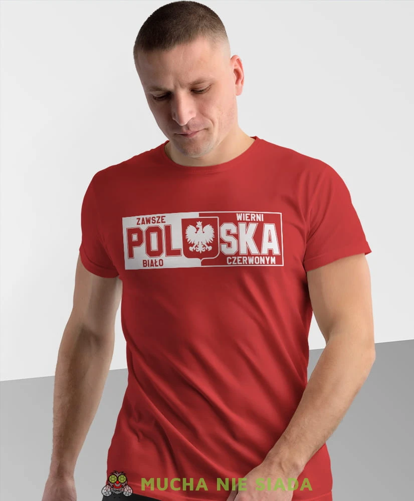 Polska, Orzeł Polski, zawsze wierni biało czerwonym, czerwona męska koszulka z nadrukiem, koszulka kibica, koszulki z grafiką patriotyczną, na prezent, koszulka Polska, koszulki Polski.jpg