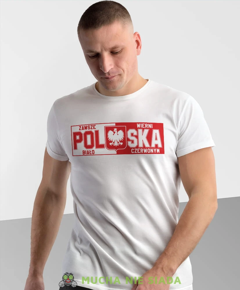 Polska, Orzeł Polski, zawsze wierni biało czerwonym, biała męska koszulka z nadrukiem, koszulka kibica, koszulki z grafiką patriotyczną, na prezent, koszulka Polska, koszulki Polski.jpg
