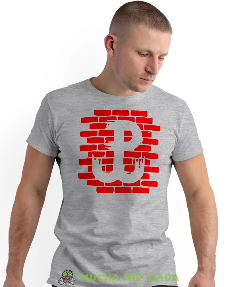 Polska Walcząca kotwica, szara męska koszulka z nadrukiem, koszulka patriotyczna, koszulki z grafiką patriotyczną, dla mężczyzny, dla chłopaka na prezent, koszulka Polska, koszulki Polska.jpg
